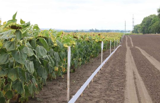 Company Specializing In Software Solutions For Plant Breeding & Variety Testing.2